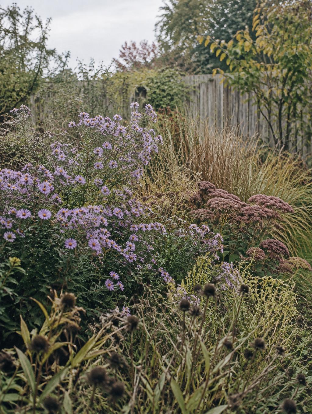 Staude- og buskbeplantning